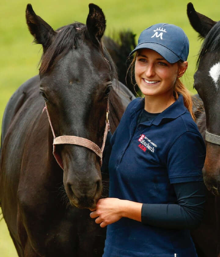 derby community das gestüt marbach